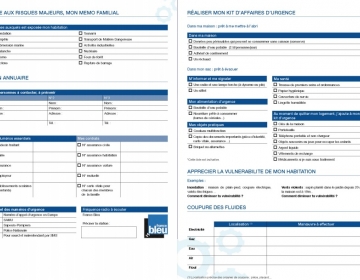 Plan Familial de Mise en Sûreté (PFMS)